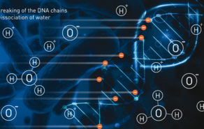 A double action on micro-organisms
