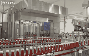PET Blower-Filler-Capper for Ketchups in PET Bottles
