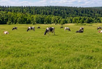 Winfarm processes milk as close to the farm as possible