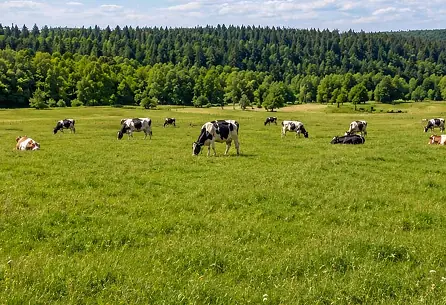 Winfarm processes milk as close to the farm as possible